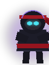 Ninja skin